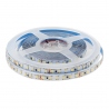 Cinta Led Fria 12v 5m 2835 120Led