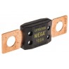 Mega Fusible DC 100amp